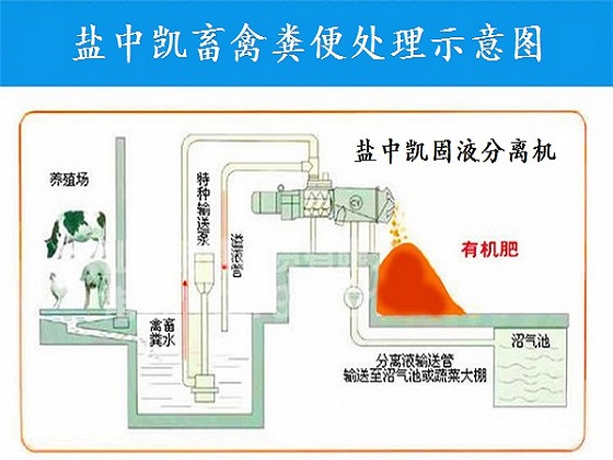 鸡粪91视频黄污APP机